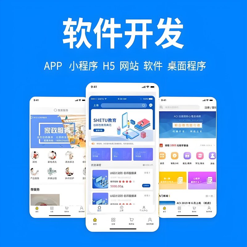 网站程序开发选购指南