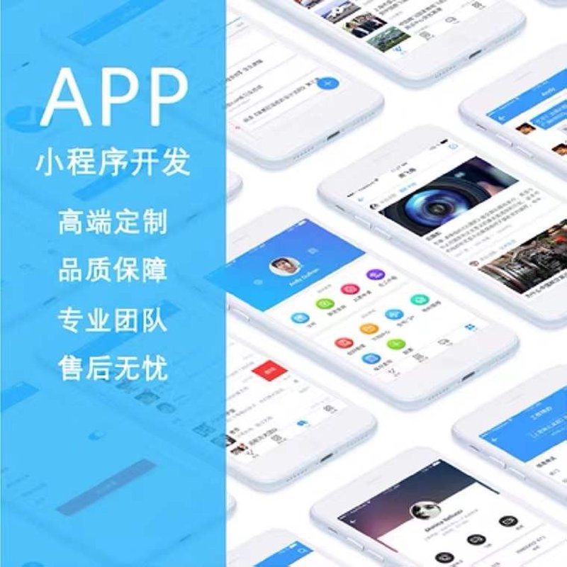 网站程序开发选购指南