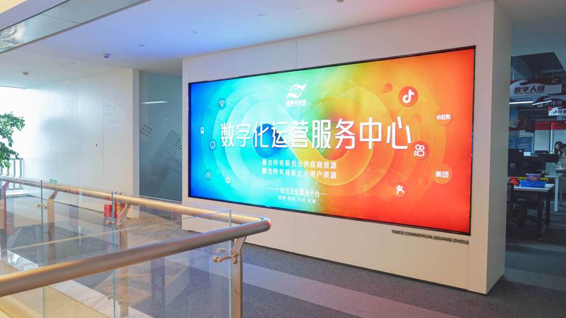 莎金网络工作室