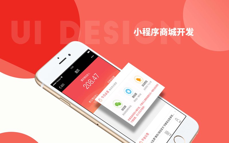 网站程序开发：构建企业数字化转型的基石