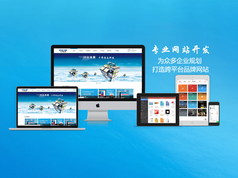 网站程序开发：构建网页生命的基石